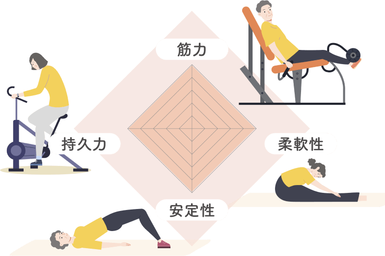 筋力・持久力・柔軟性・安定性